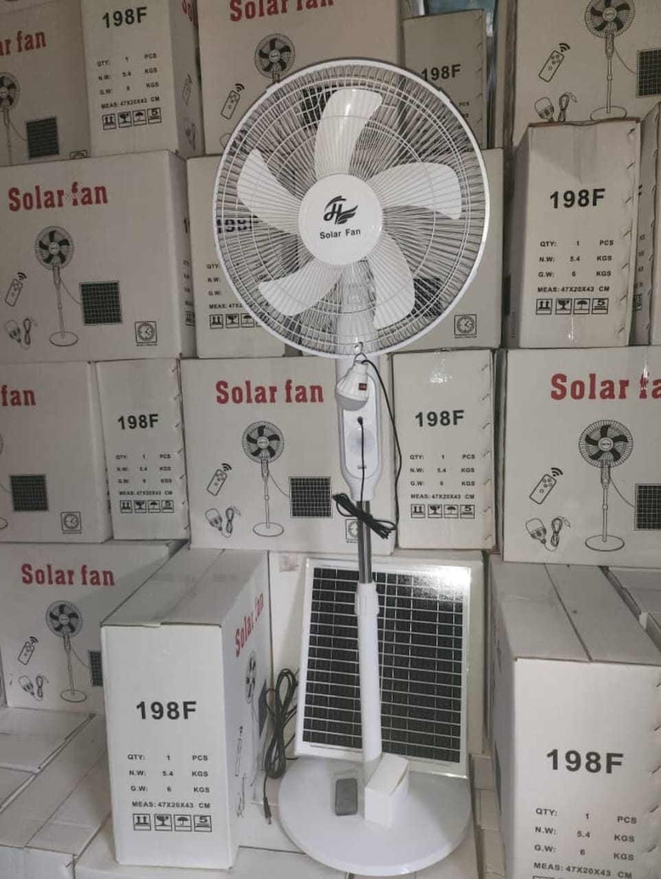 PHOTO-2026-02-12-20-09-18